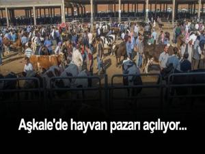 Aşkale'de hayvan pazarı açılıyor