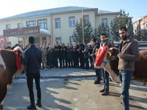 Aşkaleden Afrindeki Mehmetçiğe 2 adet tosun gönderdiler