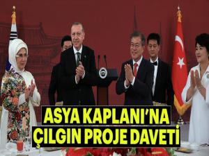 Asya Kaplanına çılgın proje daveti