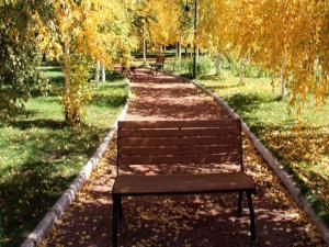 Ata Botanik Park, hazan mevsiminde ilgi odağı