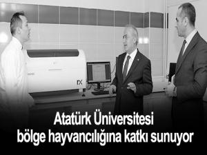 Atatürk Üniversitesi bölge hayvancılığına katkı sunuyor.