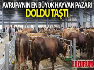 Avrupa'nın en büyük canlı hayvan pazarı doldu taştı, besiciler hayvanlarını satacak yer bulamadı