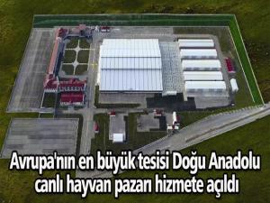 Avrupa'nın en büyük tesisi Doğu Anadolu canlı hayvan pazarı hizmete açıldı