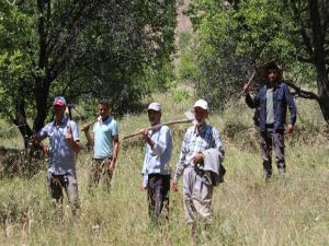 Ayı korkusundan bahçelerine giremiyorlar