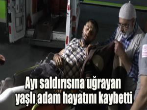 Ayı saldırısına uğrayan yaşlı adam hayatını kaybetti