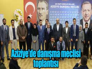 Aziziyede danışma meclisi toplantısı