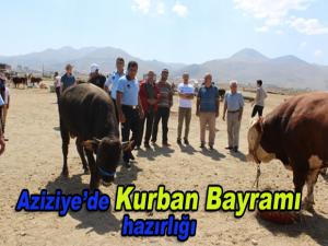 Aziziyede Kurban Bayramı hazırlığı