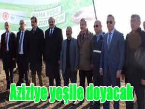 Aziziye yeşile doyacak