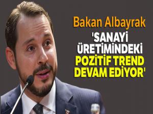 Bakan Albayrak: 'Sanayi üretimindeki pozitif trend devam ediyor'