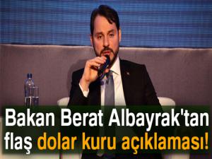 Bakan Berat Albayrak'tan flaş dolar kuru açıklaması!