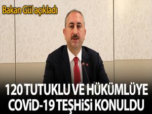 Bakan Gül: '120 tutuklu ve hükümlüye Covid-19 tanısı konuldu'