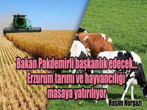 Bakan Pakdemirli başkanlık edecek Erzurum tarımı ve hayvancılığı masaya yatırılıyor