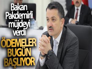 Bakan Pakdemirli müjdeyi verdi! Ödemeler bugün başlıyor