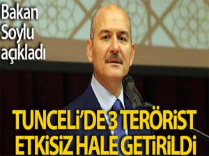 Bakan Soylu: 'Tunceli'de 3 terörist etkisiz hale getirildi'