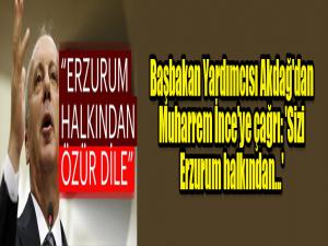 Başbakan Yardımcısı Akdağ'dan Muharrem İnce'ye çağrı: 'Sizi Erzurum halkından...'