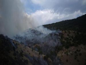 Bayburt'ta orman yangınında 100 dönüm alan zarar gördü