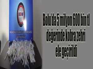 Bolu'da 5 milyon 600 bin TL değerinde kobra zehri ele geçirildi