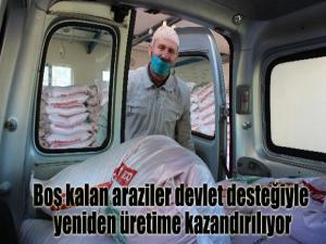 Boş kalan araziler devlet desteğiyle yeniden üretime kazandırılıyor