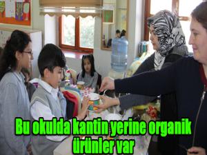  Bu okulda kantin yerine organik ürünler var