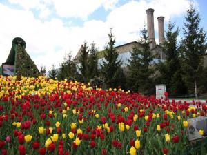 Büyükşehir'den Erzurum'a estetik dokunuş