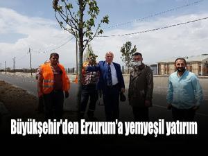 Büyükşehir'den Erzurum'a yemyeşil yatırım