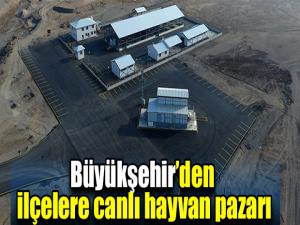 Büyükşehirden ilçelere canlı hayvan pazarı