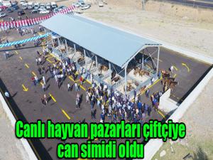 Canlı hayvan pazarları çiftçiye can simidi oldu