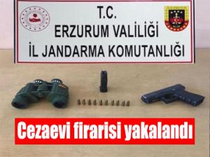 Cezaevi firarisi yakalandı