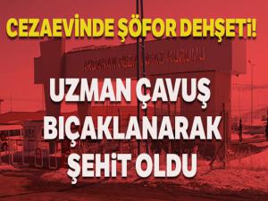 Cezaevinde şoför dehşeti! Uzman çavuş bıçaklanarak şehit oldu