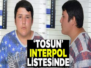 Çiftlikbank dolandırıcısı 'Tosun' Interpol listesinde