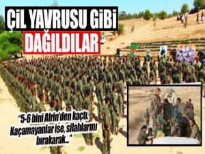 Çil yavrusu gibi dağılan YPG/PKK'lı teröristlerden kaçamayanlar hala Afrin'de!