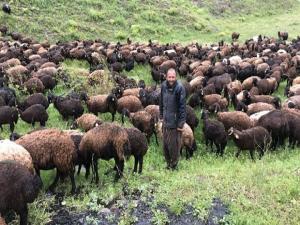 Çobanlar koyun sürüsüyle doluya tutuldu