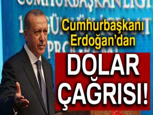 Cumhurbaşkanı Erdoğan'dan kritik dolar çağrısı