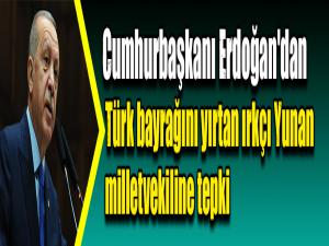 Cumhurbaşkanı Erdoğan'dan Türk bayrağını yırtan ırkçı Yunan milletvekiline tepki