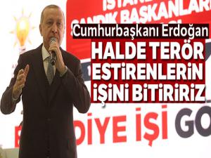 Cumhurbaşkanı Erdoğan: 'Halde terör estirenlerin işini bitiririz'