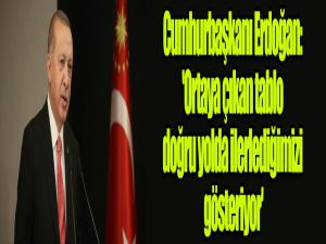 Cumhurbaşkanı Erdoğan: 'Ortaya çıkan tablo doğru yolda ilerlediğimizi gösteriyor'