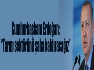 Cumhurbaşkanı Erdoğan: 'Tarım sektörünü şaha kaldıracağız'