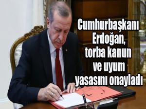 Cumhurbaşkanı Erdoğan, torba kanun ve uyum yasasını onayladı