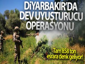 Diyarbakır'da dev uyuşturucu operasyonu: Tam 858 ton esrara denk geliyor