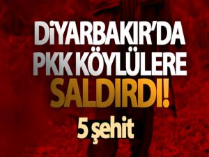 Diyarbakır'da PKK köylülere saldırdı!