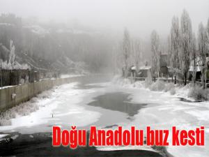 Doğu Anadolu buz kesti