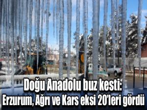 Doğu Anadolu buz kesti: Erzurum, Ağrı ve Kars eksi 20leri gördü