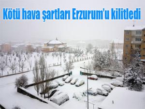 Doğu Anadolu'da kar yağışı hayatı felç etti