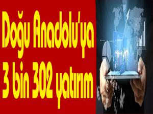 Doğu Anadoluya 3 bin 302 yatırım