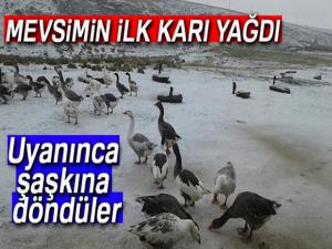 Doğuda yüksek kesimlere mevsimin ilk karı düştü