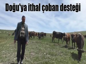 Doğu'ya ithal çoban desteği