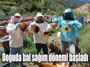 Doğuda bal sağım dönemi başladı