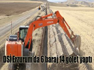 DSİ Erzurumda 6 baraj 14 gölet yaptı