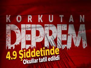 Elazığ'da 4,9 büyüklüğünde deprem