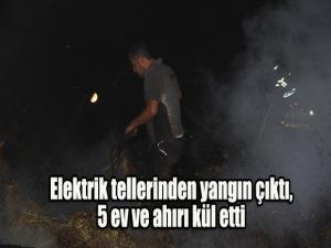 Elektrik tellerinden çıkan yangın 5 ev ve ahırı kül etti